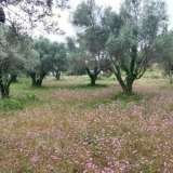  For Sale - (€ 0 / m2), Agricultural 2001 m2 Lefkada 8205183 thumb8