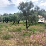  For Sale - (€ 0 / m2), Agricultural 2001 m2 Lefkada 8205183 thumb2