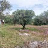  For Sale - (€ 0 / m2), Agricultural 2001 m2 Lefkada 8205183 thumb4