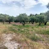  For Sale - (€ 0 / m2), Agricultural 2001 m2 Lefkada 8205183 thumb7