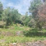  For Sale - (€ 0 / m2), Agricultural 2001 m2 Lefkada 8205183 thumb9