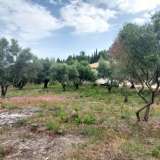  For Sale - (€ 0 / m2), Agricultural 2001 m2 Lefkada 8205183 thumb6