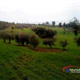  (For Sale) Land Agricultural Land  || Chalkidiki/Ormylia - 46.000 Sq.m, 1.200.000€ Ormilia 3605019 thumb2