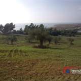  (For Sale) Land Agricultural Land  || Chalkidiki/Ormylia - 46.000 Sq.m, 1.200.000€ Ormilia 3605019 thumb5