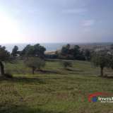  (For Sale) Land Agricultural Land  || Chalkidiki/Ormylia - 46.000 Sq.m, 1.200.000€ Ormilia 3605019 thumb6