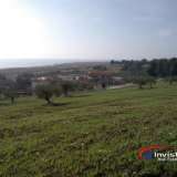  (For Sale) Land Agricultural Land  || Chalkidiki/Ormylia - 46.000 Sq.m, 1.200.000€ Ormilia 3605019 thumb4
