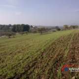  (For Sale) Land Agricultural Land  || Chalkidiki/Ormylia - 46.000 Sq.m, 1.200.000€ Ormilia 3605019 thumb3