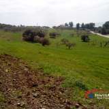  (For Sale) Land Agricultural Land  || Chalkidiki/Ormylia - 46.000 Sq.m, 1.200.000€ Ormilia 3605019 thumb1