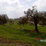  (For Sale) Land Agricultural Land  || Chalkidiki/Ormylia - 46.000 Sq.m, 1.200.000€ Ormilia 3605019 thumb0
