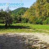  FOR SALE investment, bright property of 145 mÂ² in Dirfy, Evia, specifically on the beach of Chiliadou in a green plot of 4 acres, with affluent soil for the cultivation of fruit trees. The house consists of 3 levels, ground floor, first floor and basem Kimi 8205474 thumb9