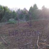 Agricultural plot, Sale, Marčana, Prodol