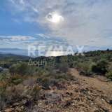  For Sale - (€ 0 / m2), Agricultural 8800 m2 Afetes 6905839 thumb2