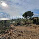  For Sale - (€ 0 / m2), Agricultural 8800 m2 Afetes 6905839 thumb5