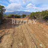  For Sale - (€ 0 / m2), Agricultural 8800 m2 Afetes 6905839 thumb6