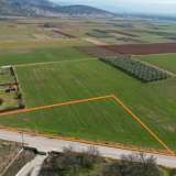  For Sale - (€ 0 / m2), Agricultural 5150 m2 Drama 8105918 thumb8
