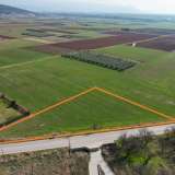  For Sale - (€ 0 / m2), Agricultural 5150 m2 Drama 8105918 thumb7