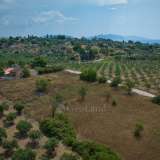  For Sale - (€ 0 / m2), Agricultural 2000 m2 Kranidi 7850128 thumb3