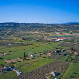 For Sale - (€ 0 / m2), Agricultural 30000 m2 Kranidi 8150413 thumb5