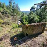 Terreno Rústico com 1 Hectare com ruína e mina, Venda, Orvalho, Castelo Branco Oleiros 8050415 thumb1
