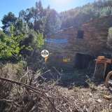  Terreno Rústico com 1 Hectare com ruína e mina, Venda, Orvalho, Castelo Branco Oleiros 8050415 thumb4