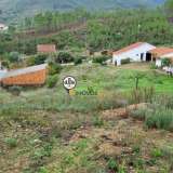  Três Casas (duas em Xisto) inseridas em terreno com 31000m2 , Venda, Rochas de Baixo Castelo Branco 8050420 thumb0