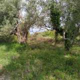  For Sale - (€ 0 / m2), Agricultural 1800 m2 Lefkada 8150428 thumb3