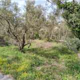  For Sale - (€ 0 / m2), Agricultural 1800 m2 Lefkada 8150428 thumb2