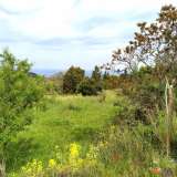  For Sale - (€ 0 / m2), Agricultural 1800 m2 Lefkada 8150428 thumb6