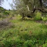  For Sale - (€ 0 / m2), Agricultural 1800 m2 Lefkada 8150428 thumb4