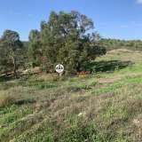  Terreno com 15 hectares, Venda, Castelo Branco Castelo Branco 8050450 thumb22
