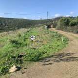  Terreno com 15 hectares, Venda, Castelo Branco Castelo Branco 8050450 thumb10