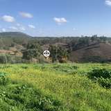  Terreno com 15 hectares, Venda, Castelo Branco Castelo Branco 8050450 thumb39