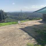  Terreno com 15 hectares, Venda, Castelo Branco Castelo Branco 8050450 thumb32