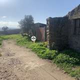 Terreno com 15 hectares, Venda, Castelo Branco Castelo Branco 8050450 thumb13