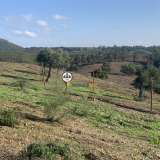  Terreno com 15 hectares, Venda, Castelo Branco Castelo Branco 8050450 thumb28