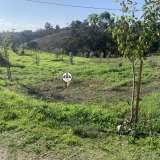  Terreno com 15 hectares, Venda, Castelo Branco Castelo Branco 8050450 thumb11