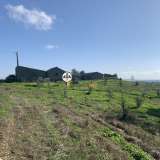  Terreno com 15 hectares, Venda, Castelo Branco Castelo Branco 8050450 thumb26
