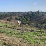  Terreno com 15 hectares, Venda, Castelo Branco Castelo Branco 8050450 thumb21