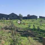  Terreno com 15 hectares, Venda, Castelo Branco Castelo Branco 8050450 thumb24