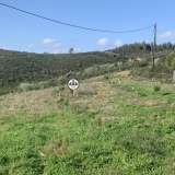  Terreno com 15 hectares, Venda, Castelo Branco Castelo Branco 8050450 thumb31