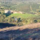  Terreno com 15 hectares, Venda, Castelo Branco Castelo Branco 8050450 thumb49