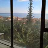   Calheta 6350567 thumb1