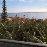   Calheta 6350567 thumb18