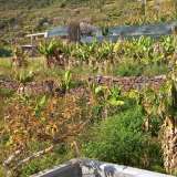   Calheta 6350567 thumb17