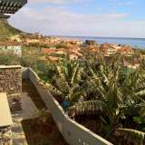   Calheta 6350567 thumb24