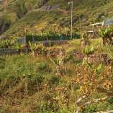   Calheta 6350567 thumb34