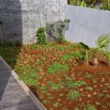   Calheta 6350567 thumb29