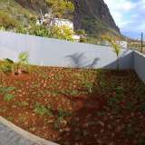   Calheta 6350567 thumb23