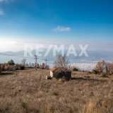  For Sale - (€ 0 / m2), Agricultural 6591 m2 Agria 7550628 thumb2