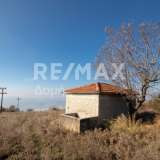  For Sale - (€ 0 / m2), Agricultural 6591 m2 Agria 7550628 thumb7